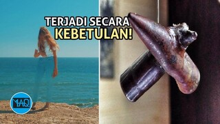 Mustahil Tapi Nyata! inilah 60 Foto Tidak Masuk Akal yang Terjadi Secara Kebetulan