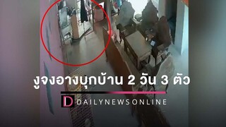 ตีเลขเด็ด!ฮือฮางูจงอางบุกบ้าน 2 วัน 3 ตัว ชาวบ้านแห่ส่องเลขเสี่ยงโชค HOTSHOT เดลินิวส์ 11/04/65