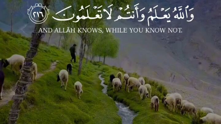 Subhanallahi wa Bihamdihi (سُبْحَانَ ٱللَّٰهِ وَبِحَمْدِهِ) 🕊️"The seven heavens and the earth and