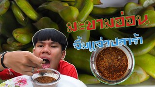 กินมะขามอ่อนจิ้มแจ่วปลาร้านัวๆ