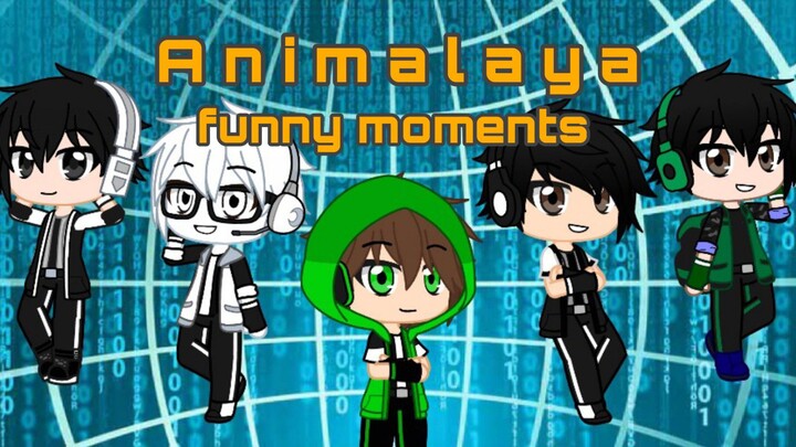 Animalaya funny moments