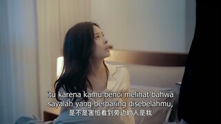 We're Meant To Be ep3 (sub indo)