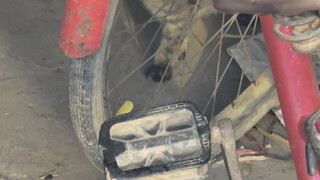 What exactly have I done with my fans' money?