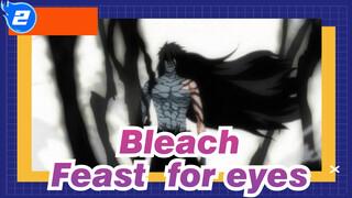 Bleach|【The Phoenix 】Epic Complication/Feast for eyes_2
