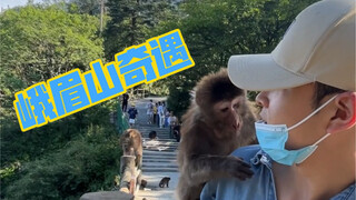 Saya pergi ke Gunung Emei tanpa pemandu, jadi saya "memohon" di puncak gunung