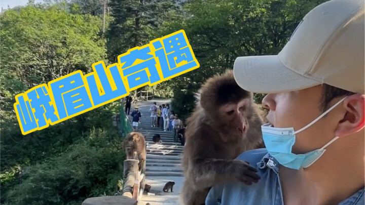 去峨眉山不做攻略，我在山顶“乞讨”