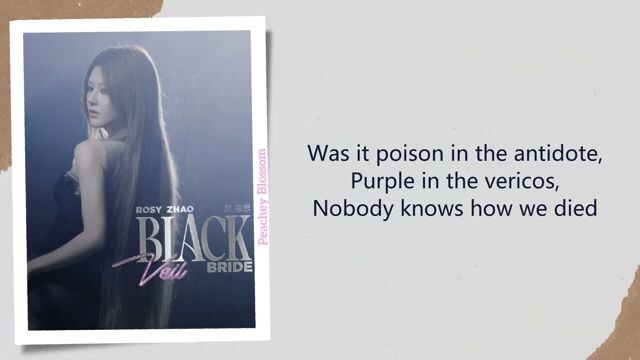#SLAY_BLACK VEIL BRIDE🖤