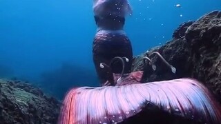 现实版人鱼公主：曼妙的泳姿加上栩栩如生的鱼尾~