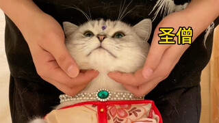 Holy monk, come catch me!