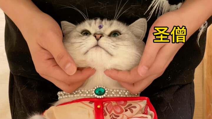 أيها الراهب المقدس، هيا اسرع وامسكني