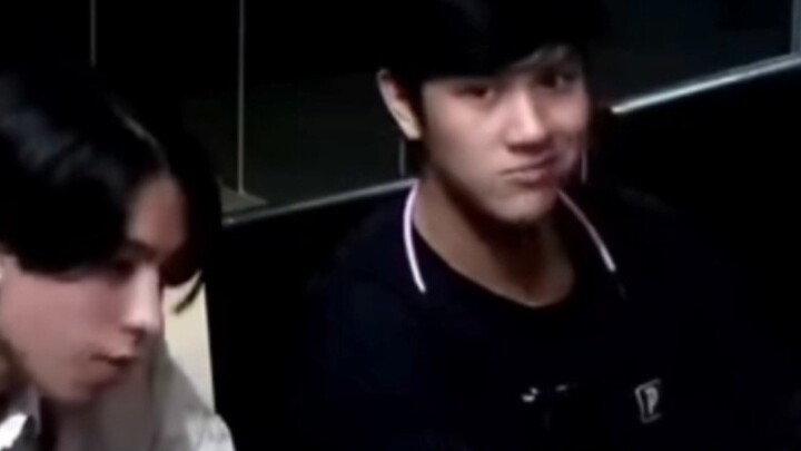 How well does nanon understand dogs?