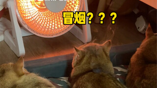 Cháy khét rồi mà vẫn chưa phản ứng à?