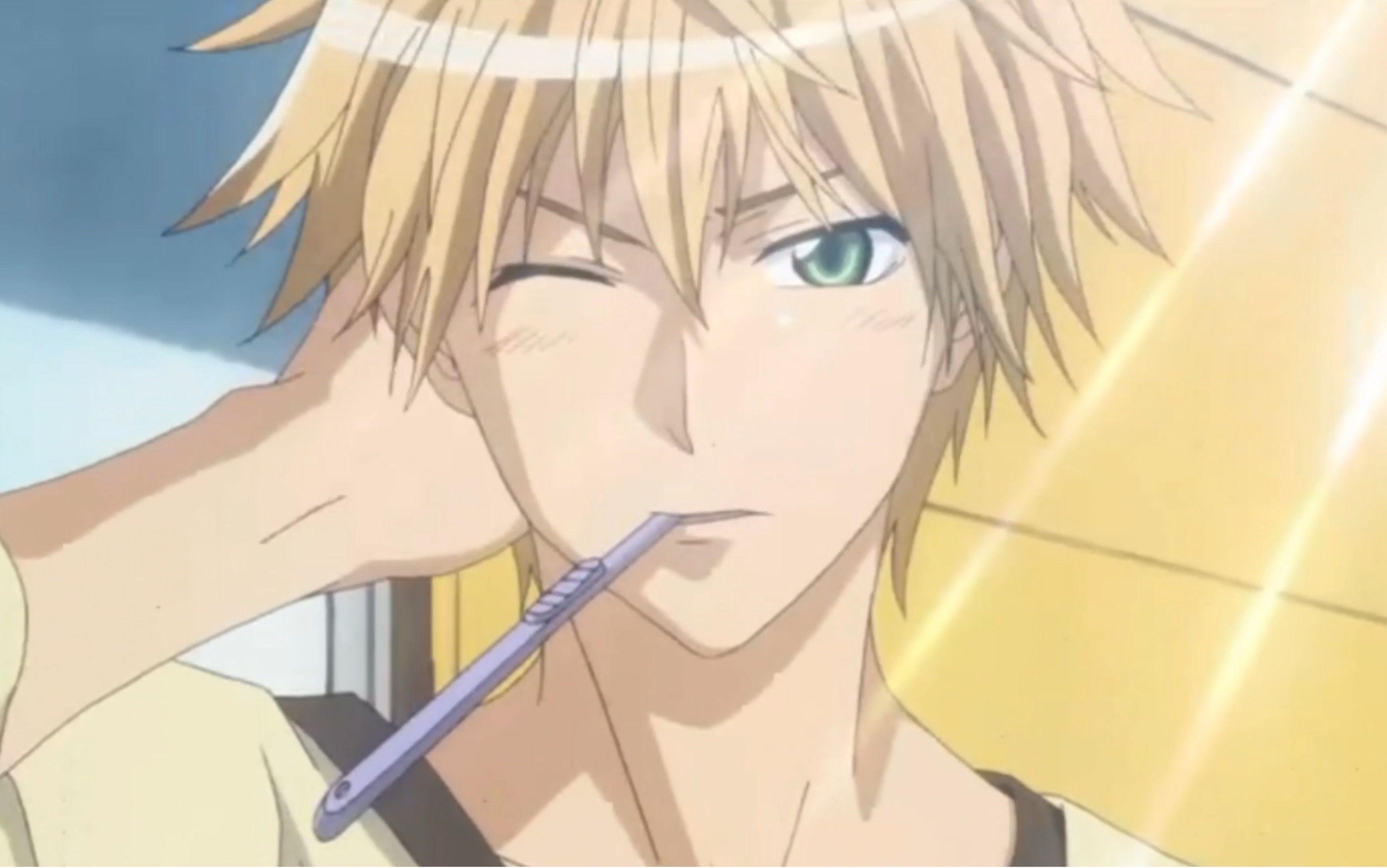 kaichou wa maid sama anime online english sub