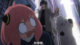 “狗狗看见棍子就秒怂了！差点没把我笑死！”