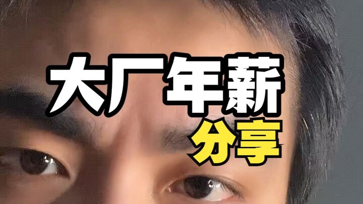 Perubahan Gaji Seorang Programmer Berpengalaman 15 Tahun