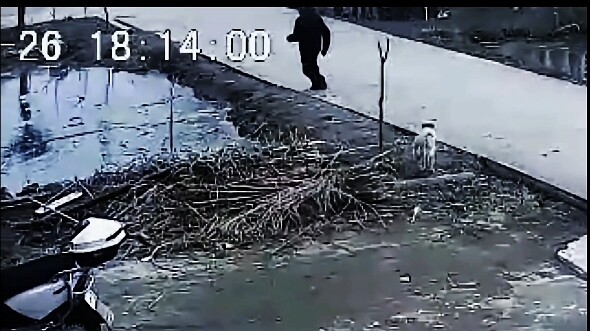 คนแก่วัย 75 ปีวิ่งไปช่วยเด็กที่ตกน้ำ