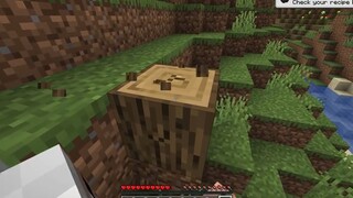 Minecraft nhưng bạn có thể Sáng Tạo Vũ Khí