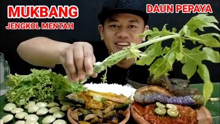 MAKAN LALAPAN JENGKOL MENTAH BATANG DAUN PAPAYA PEPES IKAN PEDA ASIN DAN SAMBAL SERUIT #mukbang