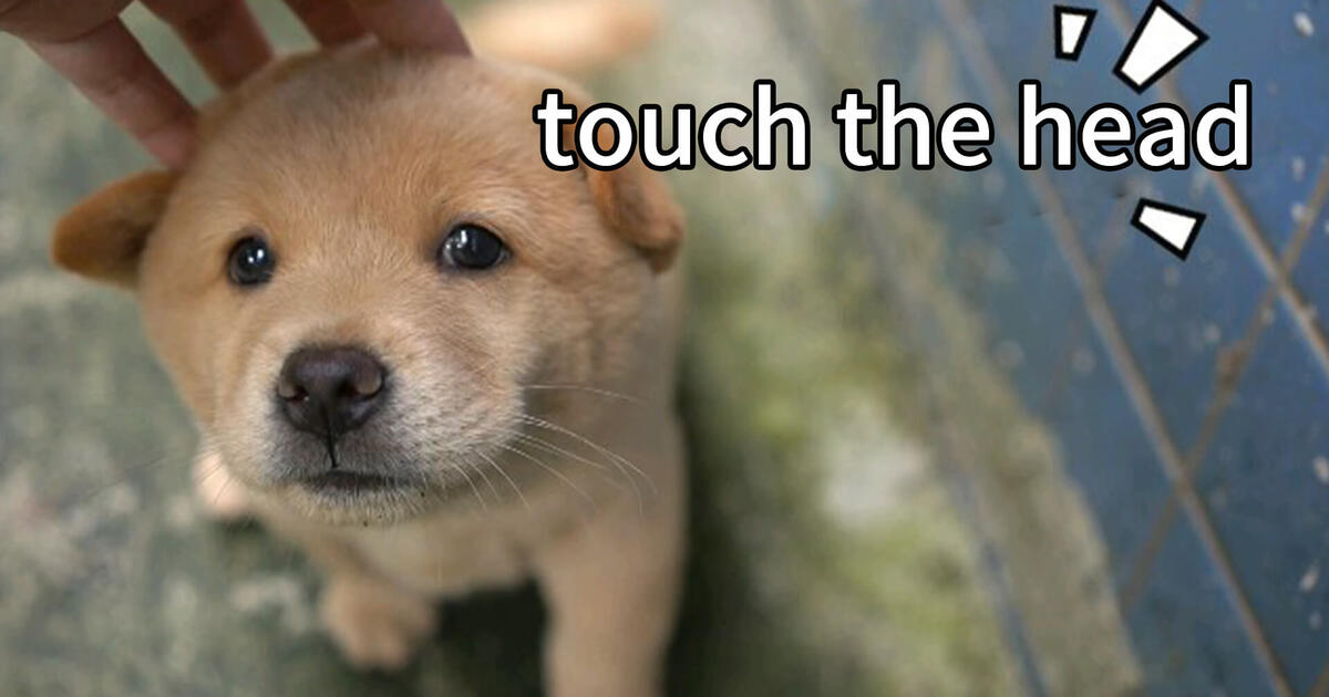 Lee know gif. Its touching. Трей паркер и мэтт стоун. Ли пейс голый. Алена михайлова за час до рассвета.