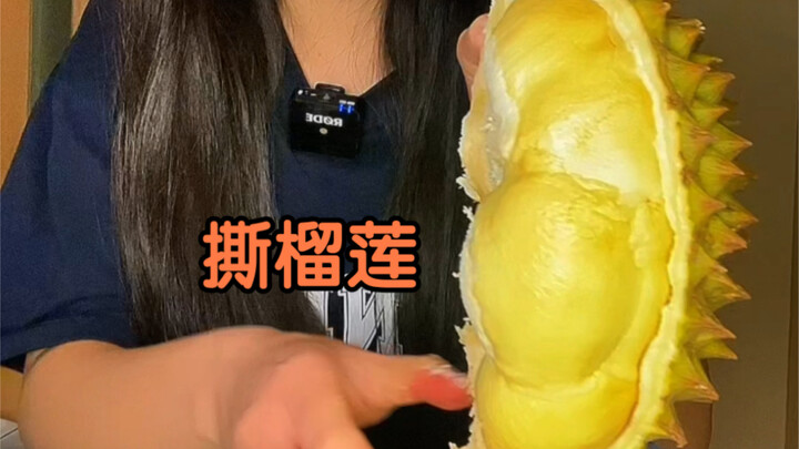 I love the crisp sound when a durian is torn open.