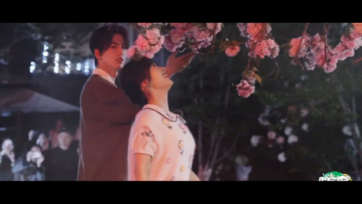 【Shen Yue x Zhang Linghe】Who can really vibe with this atmosphere?! Director, hurry up and hand them