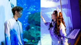 [LAY Zhang & Dilraba Dilmurat] Jatuh cinta lagi! Kumpulan video manis!