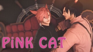 【FF14/Final Fantasy 14/Double Cat Man】แมวสีชมพู