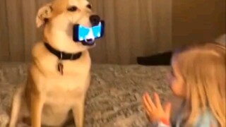 当狗子遇到生活无法自理的主人，为这个家真的付出了太多