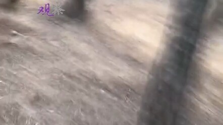 Mahasiswa paruh waktu jadi figuran, tak disangka malah jadi tentara Jepang