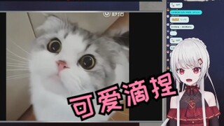 日本辣妹看可爱小动物们