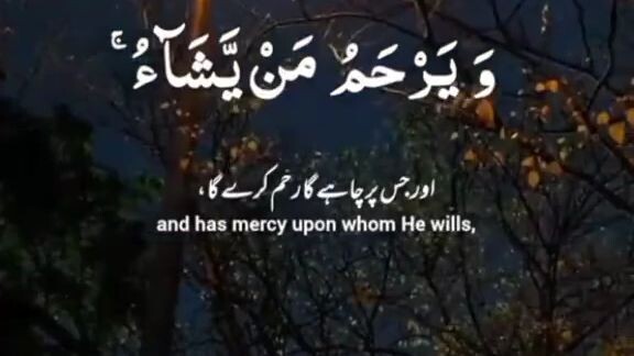 tilawat Quran mjeed.Al ilm online Quran Academy