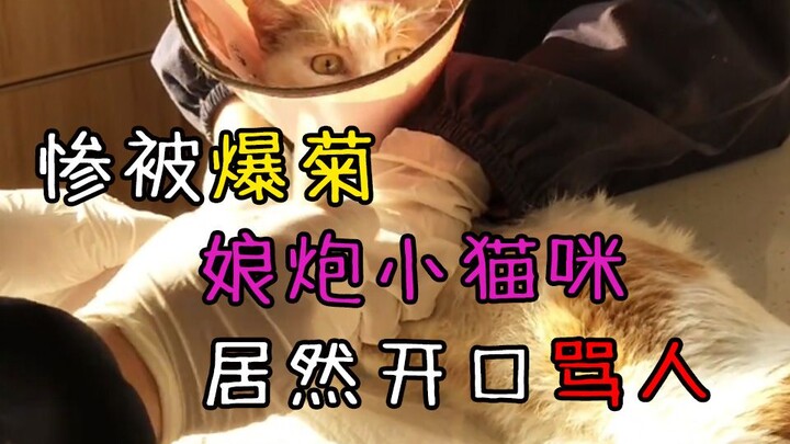 عذراً إذا ضحكت بلا حياء.. هل هذا هو سبب مطاردتك لي بلا توقف؟