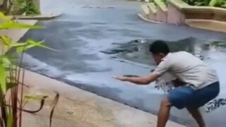 Duel dengan KING COBRA...