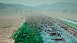 你是我奋不顾身要保护的