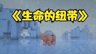 这是一只猪为了繁殖，跨越1300米寻找爱情的故事...
