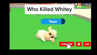 WHO KILLED THE WHITE ALBINO ADOPT ME TIK TOK 1 #SHORTS (WHO IS THE KILLER GAME DETECTIVE RIDDLE)