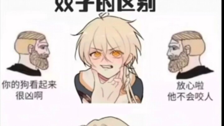 Chơi Genshin Impact: Sự khác biệt giữa hai nhân vật song sinh