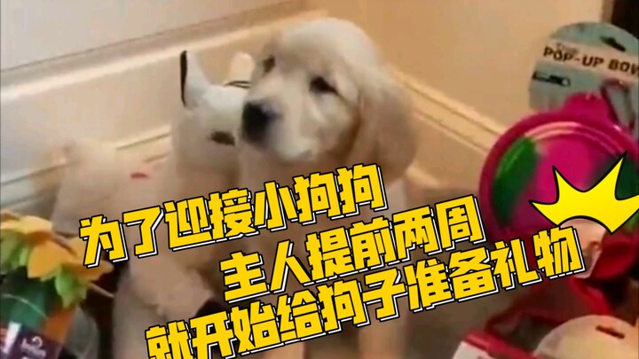 You can feel the host’s enthusiasm even through the screen!