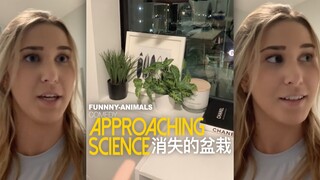 走近科学之“消失的盆栽”