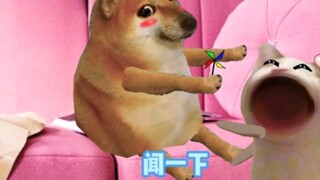 When your boyfriend can cook