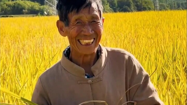深爱着这片土地