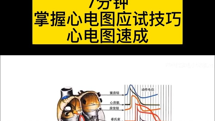 วิดีโอเดียวพาน้องเรียนรู้ «คลื่นไฟฟ้าหัวใจ» จนเข้าใจ