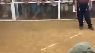 1st fight w 2 cock derby