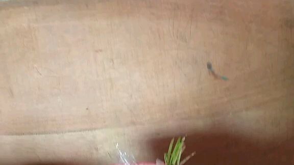 salamat sa biyaya  lord