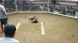 Wala sa hitsura NASA wenning line.