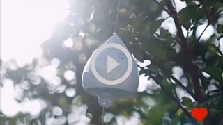 头 ｜ 新生活为了选真爱