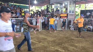 BULIK x1 winner                      grabeng paloan naunahan pa buti nalang di napurohan