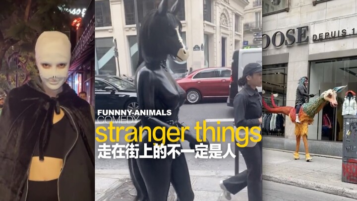 คนที่เดินอยู่บนถนนอาจไม่ใช่มนุษย์เสมอไป