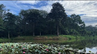 Seindah cinta Masa Depan