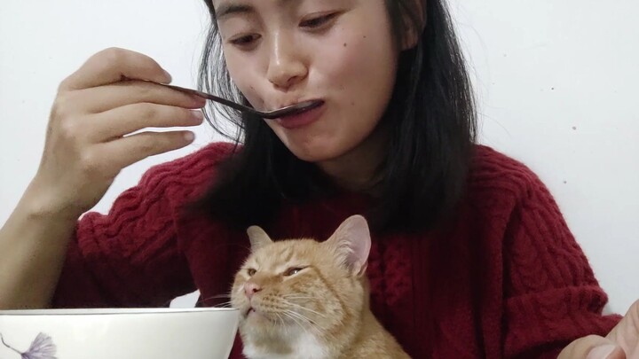 Cat: She’s in charge of eating, and I’m in charge of watching!